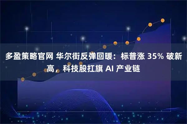多盈策略官网 华尔街反弹回暖：标普涨 35% 破新高，科技股扛旗 AI 产业链